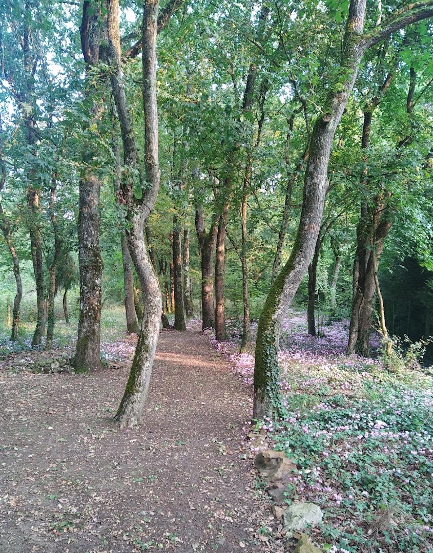 Le bois gaelle · Photos 2